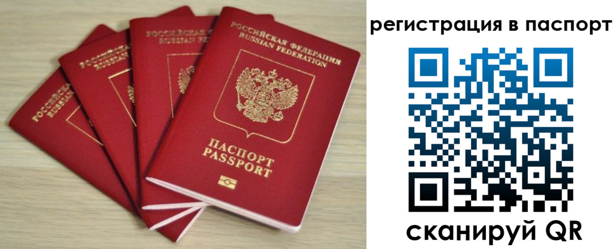 временная регистрация для школы в Вязьме